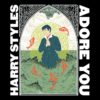 Harry Styles Adore You