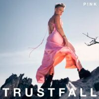 pink_trustfall-portada